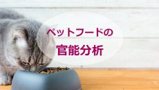 官能分析でペットの好みを解明︕