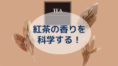 フラッシュGCノーズで紅茶の香りを科学する！